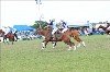 UKPA NC SAT_2633